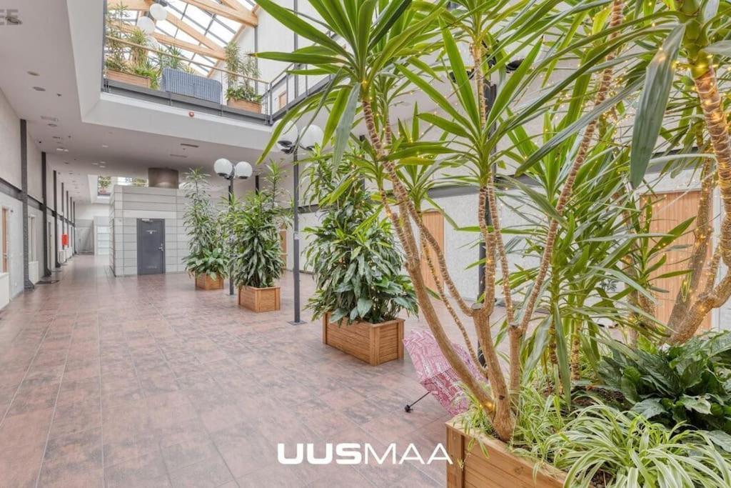 Apartamento Charming Loft Near Old Town Tallin Exterior foto